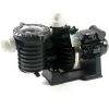 Pompe Piscine - Sta-Rite 5P6R - 1 CV - Mono - Eau Douce De Pentair