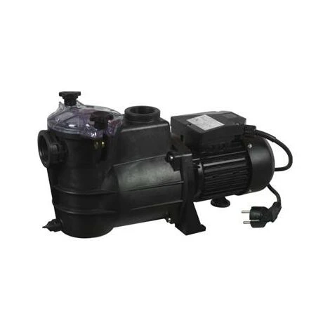 DESTOCKOUTILS Pompe De Filtration Pour Piscine 1000 W Ribiland - 10.3 M3/h 1 DESTOCKOUTILS Pompe De Filtration Pour Piscine 1000 W Ribiland - 10.3 M3/h