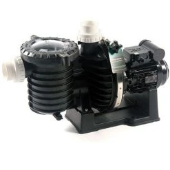 Pompe Piscine - Sta-Rite 5P6R - 3 CV - Mono - Eau Douce De Pentair