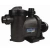 Pompe Astral Glass Plus 1 CV / 15,50 M³/h Tri - Astral Pool