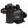 Pompe Astral Glass Plus 2 CV / 26 M³/h Tri - Astral Pool