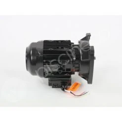 Moteur Pour Pompes La Sta-Rite 0,75 CV Tri - Pentair -Accessoire Piscine 31487515 3