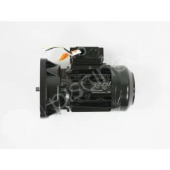 Moteur Pour Pompes La Sta-Rite 0,75 CV Tri - Pentair -Accessoire Piscine 31487515 4
