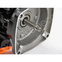 Moteur Pour Pompes La Sta-Rite 0,75 CV Tri - Pentair -Accessoire Piscine 31487515 5