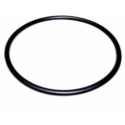 Plantawa Joint Torique Préfiltre Pour Pompe De Piscine Victoria Plus Remplacemente Parfaite Étanchéité Astralpool