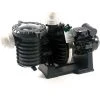 Pompe Piscine - Sta-Rite 5P6R - 1 CV - Tri - Eau Douce De Pentair