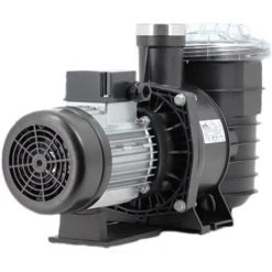 Pompe Piscine - Filtra N 18 Mono De KSB -Accessoire Piscine 3756016 3