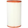 PLEATCO Pin20 Cartouche De Remplacement Pour INTEX Easy Set Piscine B Version, 1 Cartouche - Pleatco Electronic & Filter Corp.