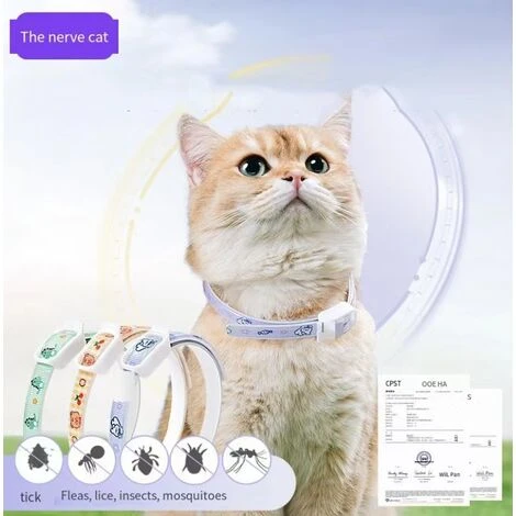 ELLE Collier Vermifuge Pour Chat Collier Anti-puces Pour Chien De Compagnie M (52CM) Lapin Violet 2 ELLE Collier Vermifuge Pour Chat Collier Anti-puces Pour Chien De Compagnie M (52CM) Lapin Violet – Image 2