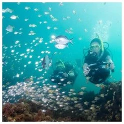 SUINGA Yamaha Seascooter RDS280 Propulseur Aquatique -Accessoire Piscine 58193424 3