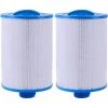 MOWZE Cartouche De Filtre De Spa 2 Pièces, Pour Filtre À Remous Pleatco Pww50 ， Filtre De Spa Pour Filtre De Remplacement Unicel 6ch-940 Spa Business Whirlpool