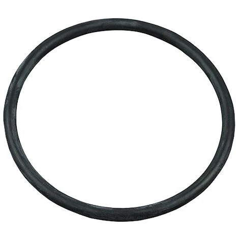 Joint Torique Diffuseur Pompes Piscine Astralpool 1 Joint Torique Diffuseur Pompes Piscine Astralpool