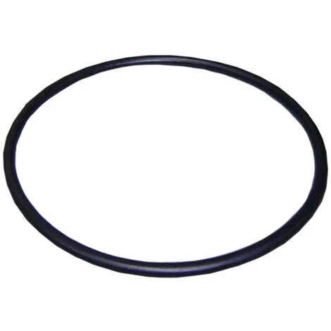 Joint Torique Couvercle Préfiltre Pompes Astralpool 1 Joint Torique Couvercle Préfiltre Pompes Astralpool