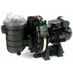 Pompe De Filtration Piscine Pentair Sta-rite 0.75 Cv Mono 5p2rd-1