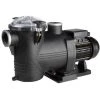 Pompe Piscine - Discovery - 1,5 CV Mono De Astralpool