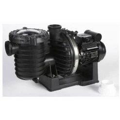 STA-RITE Pompe Starite 0,75 Cv Mono - S5p6r 8 STA-RITE Pompe Starite 0,75 Cv Mono - S5p6r -Accessoire Piscine 9896882 4